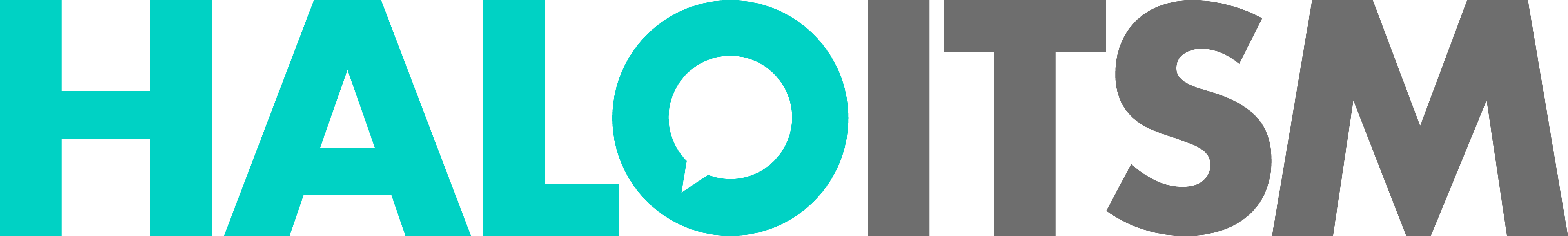 Software Tool - SIAM Partner - HaloITSM